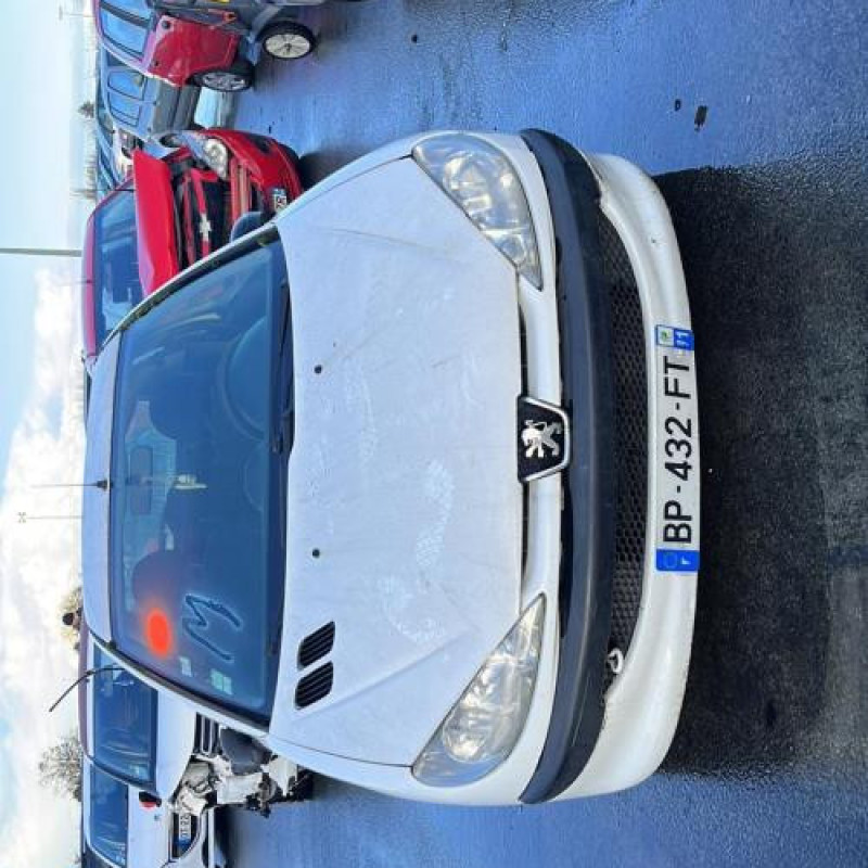 Calandre PEUGEOT 206 Photo n°13