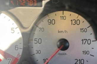 Calandre PEUGEOT 206