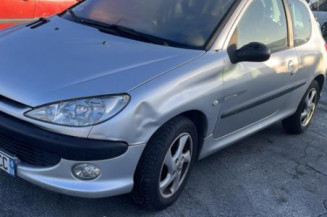 Calandre PEUGEOT 206