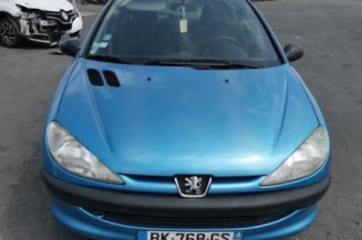 Calandre PEUGEOT 206