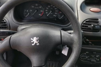 Calandre PEUGEOT 206
