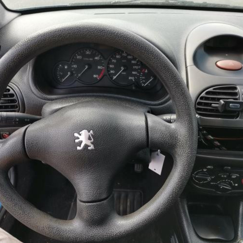 Calandre PEUGEOT 206 Photo n°8