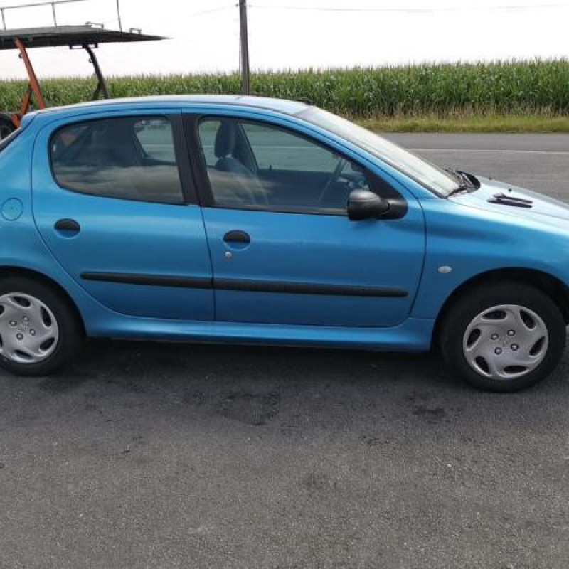 Calandre PEUGEOT 206 Photo n°13