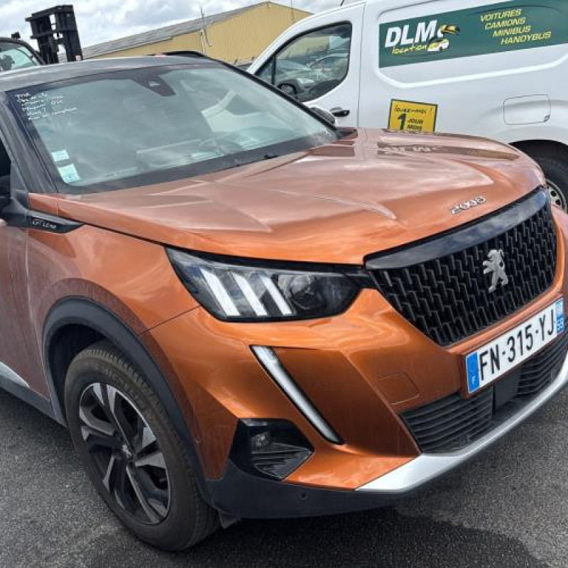 Calandre PEUGEOT 2008 2 Photo n°6