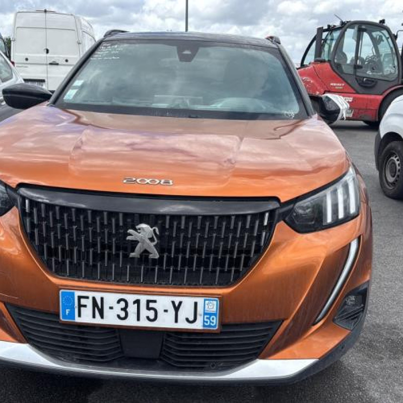 Calandre PEUGEOT 2008 2 Photo n°12
