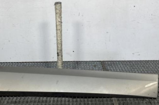 Baguette de porte avant droite RENAULT SCENIC 3 Photo n°1
