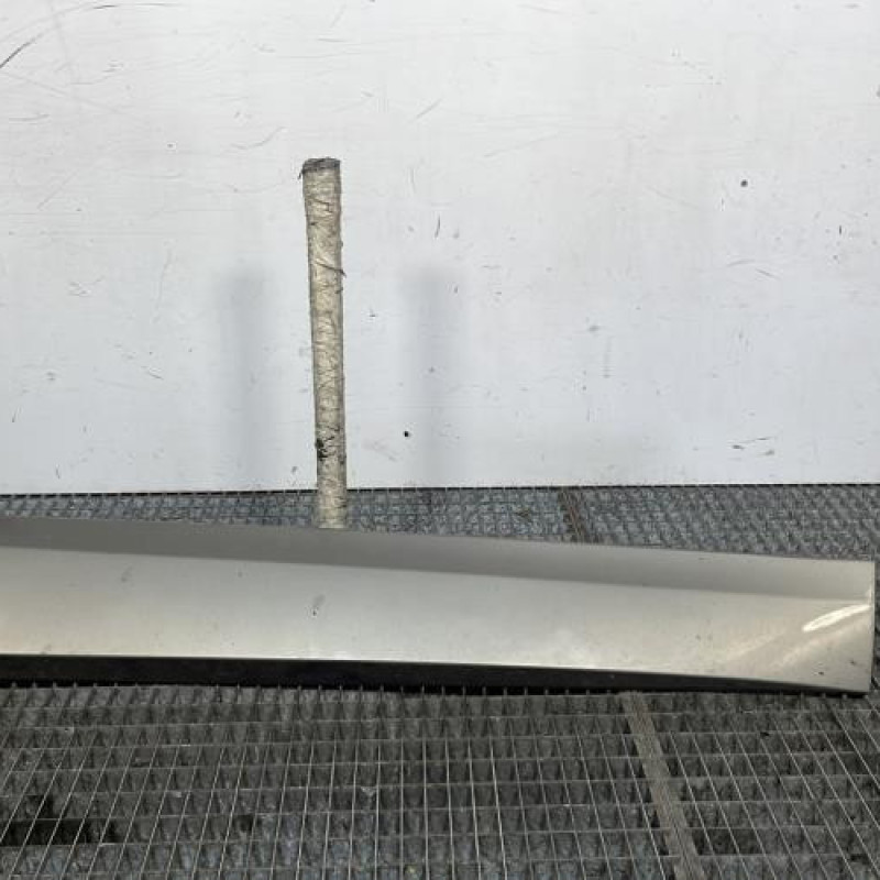 Baguette de porte avant droite RENAULT SCENIC 3 Photo n°1