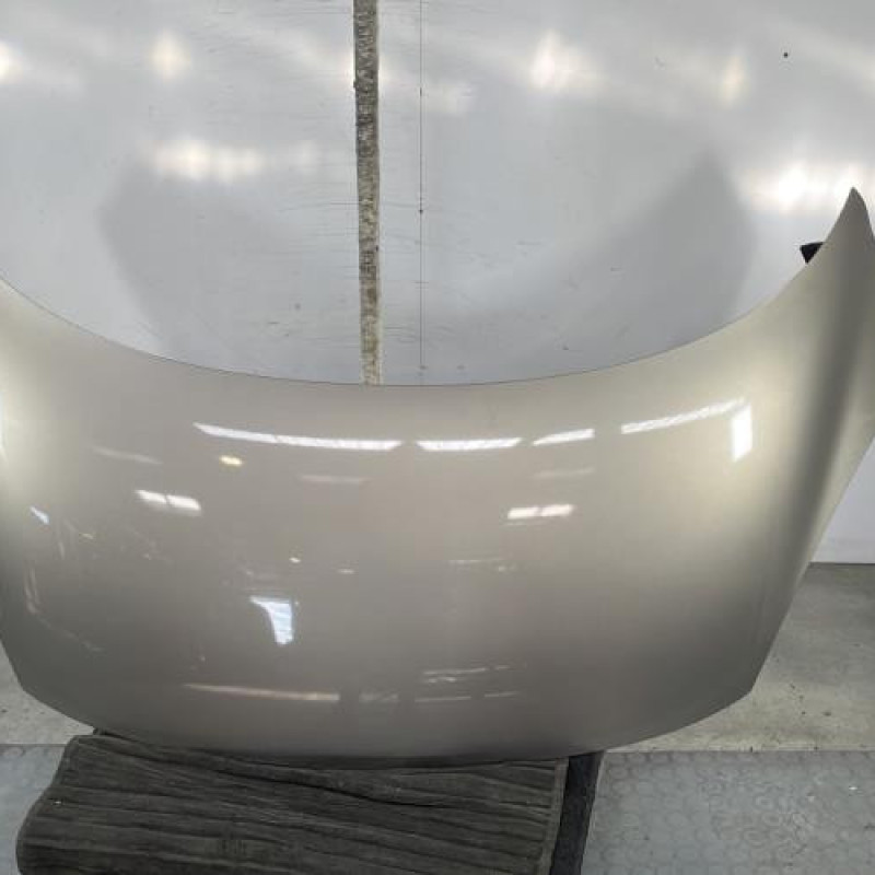 Capot RENAULT SCENIC 3 Photo n°1