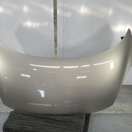 Capot RENAULT SCENIC 3 Photo n°1