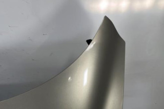 Capot RENAULT SCENIC 3