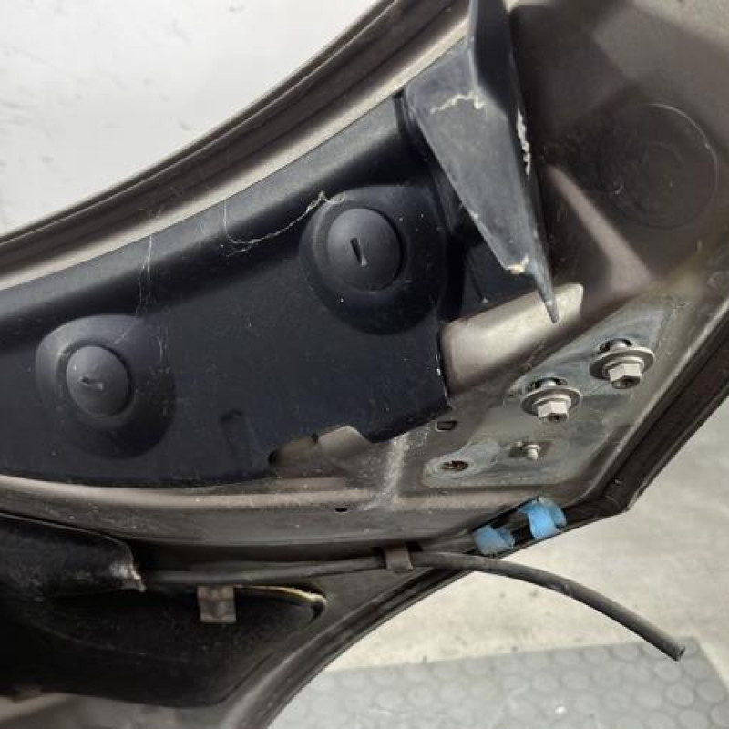 Capot RENAULT SCENIC 3 Photo n°7