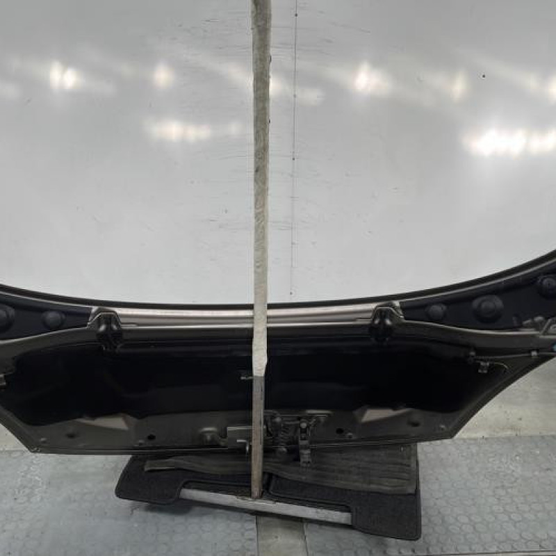 Capot RENAULT SCENIC 3 Photo n°9