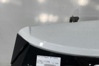 Malle/Hayon arriere CITROEN DS3