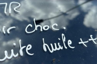 Porte arriere droit CITROEN C3 1