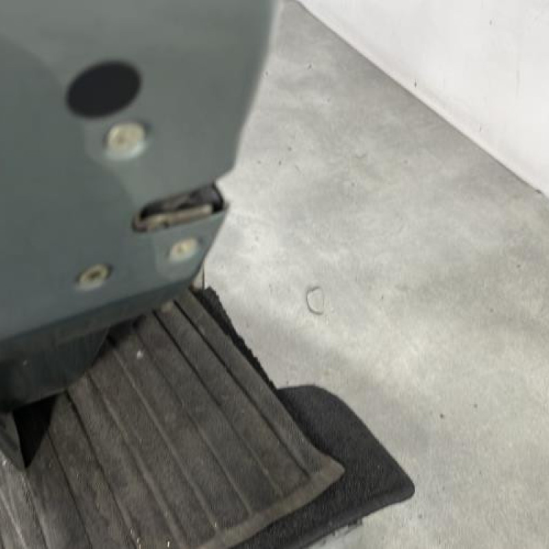 Porte arriere gauche CITROEN C3 1 Photo n°3