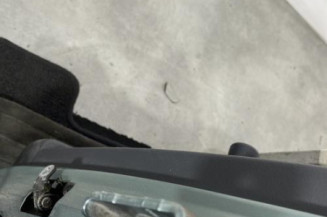 Porte arriere gauche CITROEN C3 1