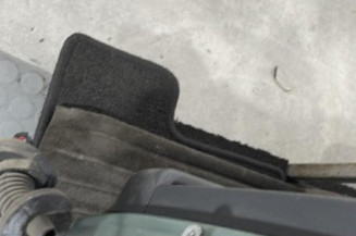 Porte arriere gauche CITROEN C3 1