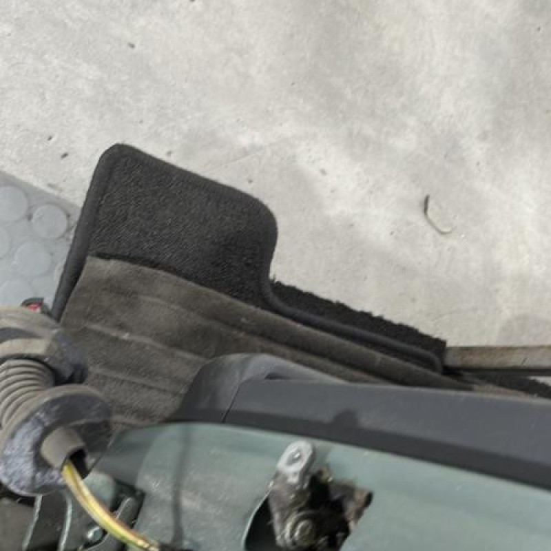 Porte arriere gauche CITROEN C3 1 Photo n°5