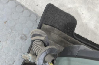 Porte arriere gauche CITROEN C3 1