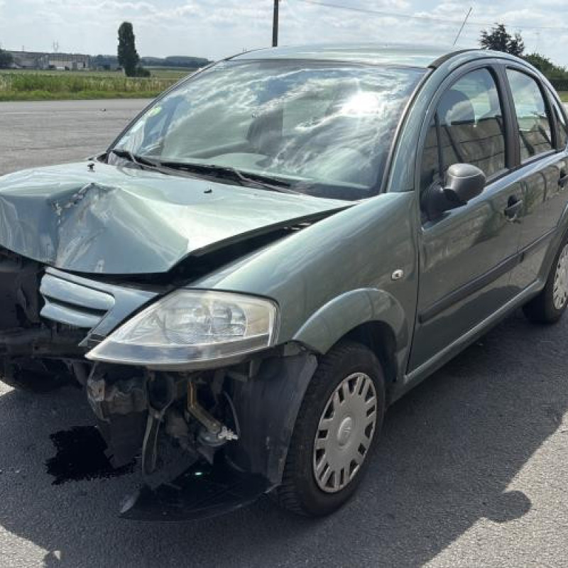 Porte arriere gauche CITROEN C3 1 Photo n°8