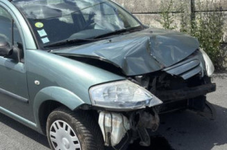 Porte arriere gauche CITROEN C3 1