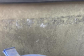 Porte arriere gauche CITROEN C3 1