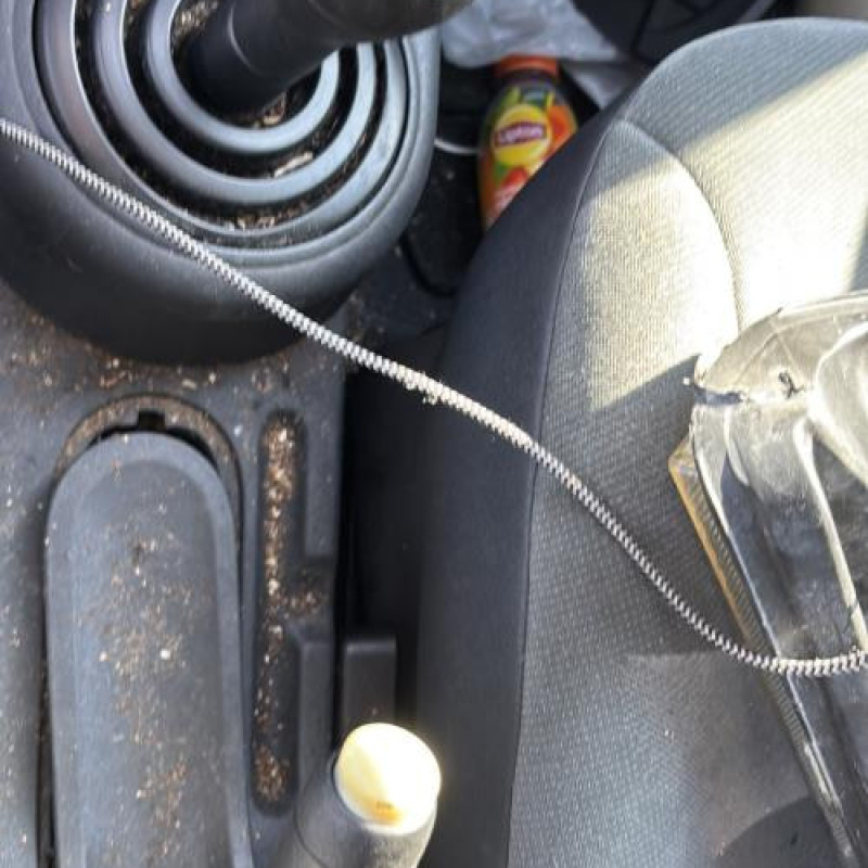 Porte avant droit CITROEN C2 Photo n°19