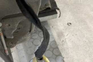 Porte avant droit CITROEN C2