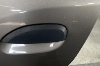 Porte arriere gauche DACIA SANDERO 2