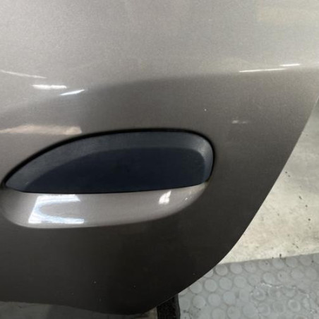 Porte arriere gauche DACIA SANDERO 2