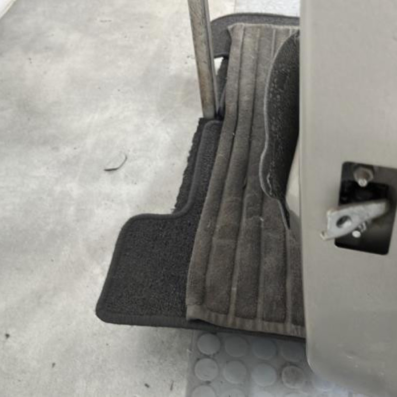 Porte arriere gauche DACIA SANDERO 2 Photo n°4