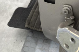 Porte arriere gauche DACIA SANDERO 2