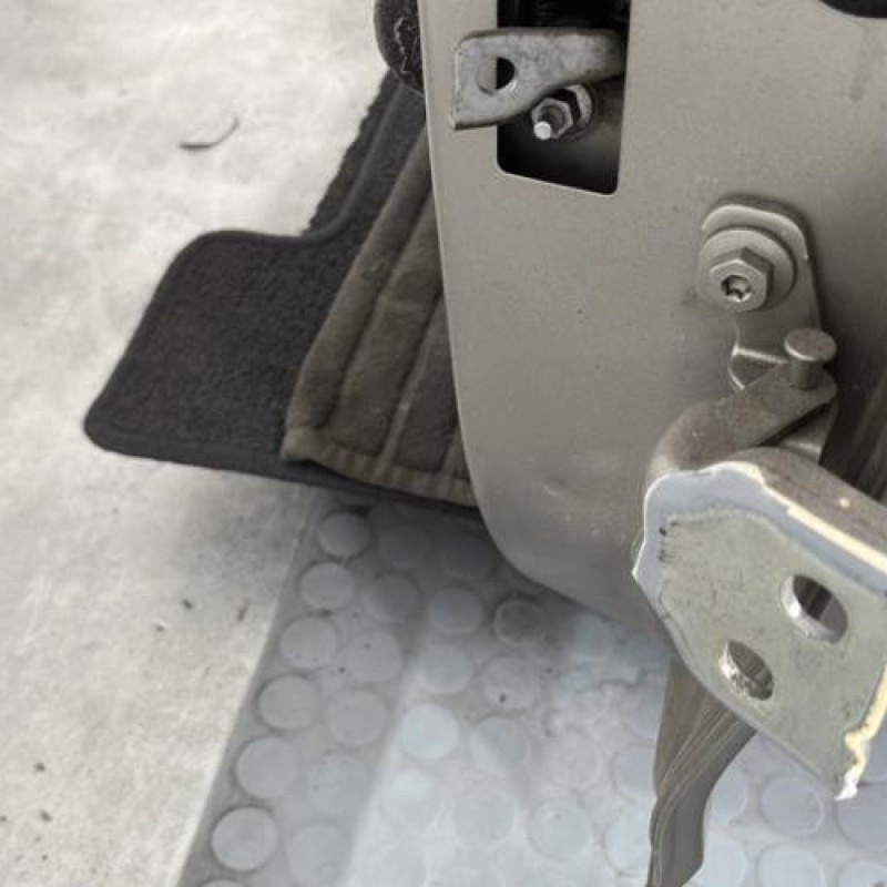 Porte arriere gauche DACIA SANDERO 2 Photo n°5