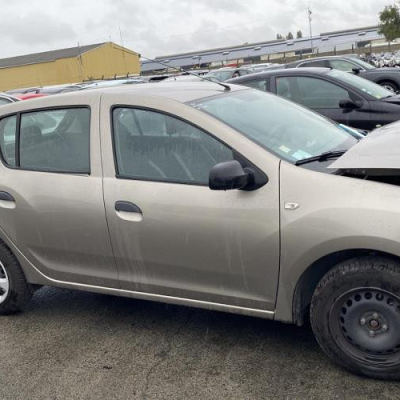 Porte arriere gauche DACIA SANDERO 2 Photo n°10