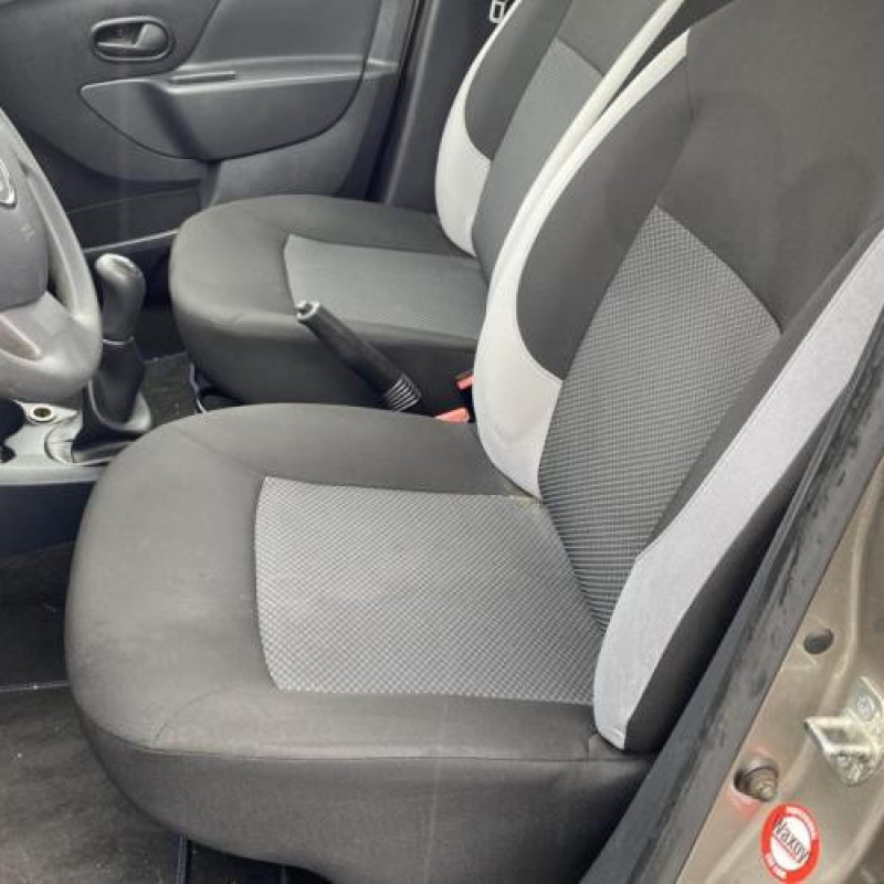 Porte arriere gauche DACIA SANDERO 2 Photo n°11