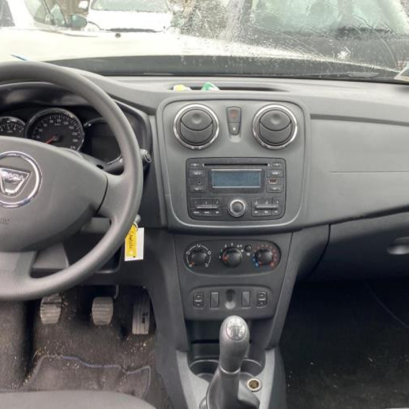 Porte arriere gauche DACIA SANDERO 2 Photo n°12