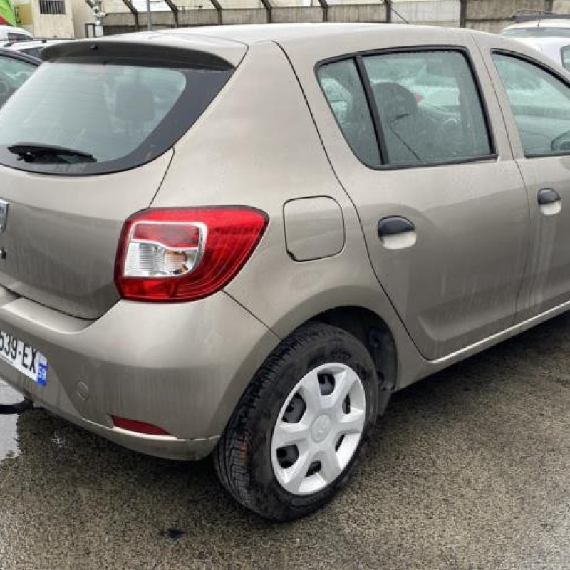 Porte arriere gauche DACIA SANDERO 2 Photo n°13