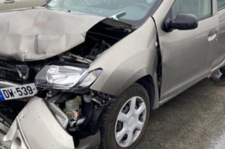 Porte arriere gauche DACIA SANDERO 2