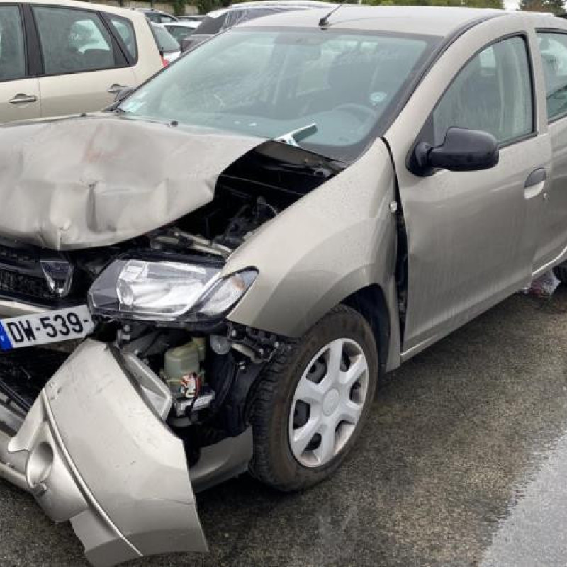 Porte arriere gauche DACIA SANDERO 2 Photo n°17