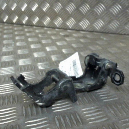 Charniere de porte arriere gauche RENAULT MEGANE 3 Photo n°1