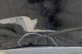 Porte arriere droit RENAULT CLIO 5