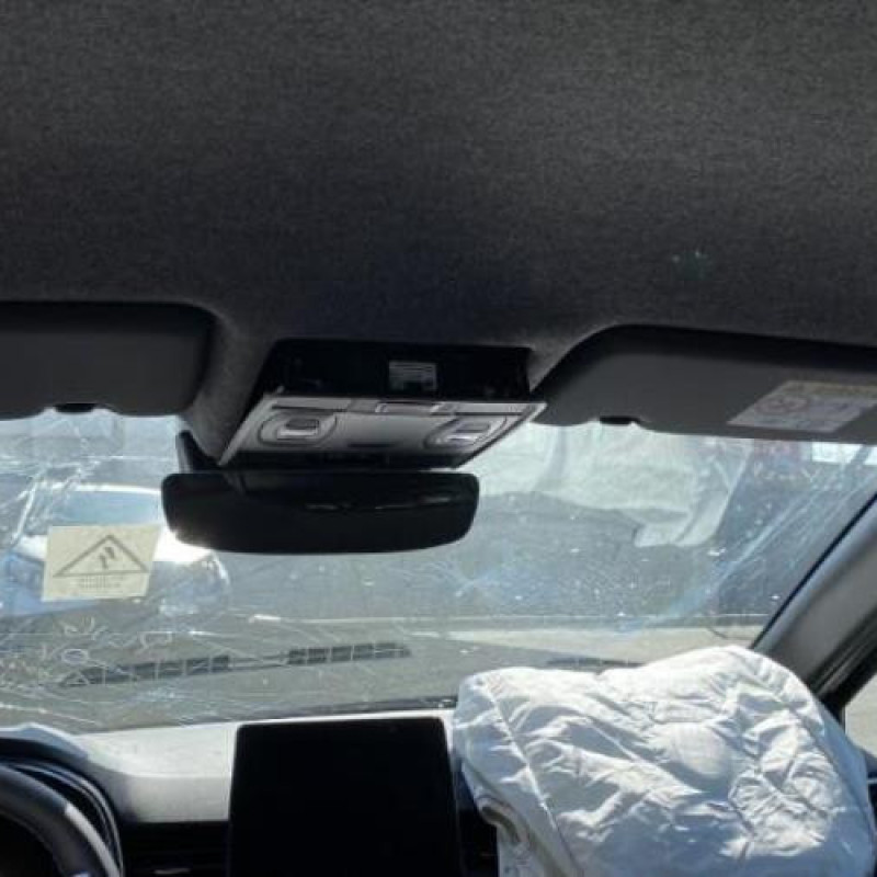 Porte arriere droit RENAULT CLIO 5 Photo n°7