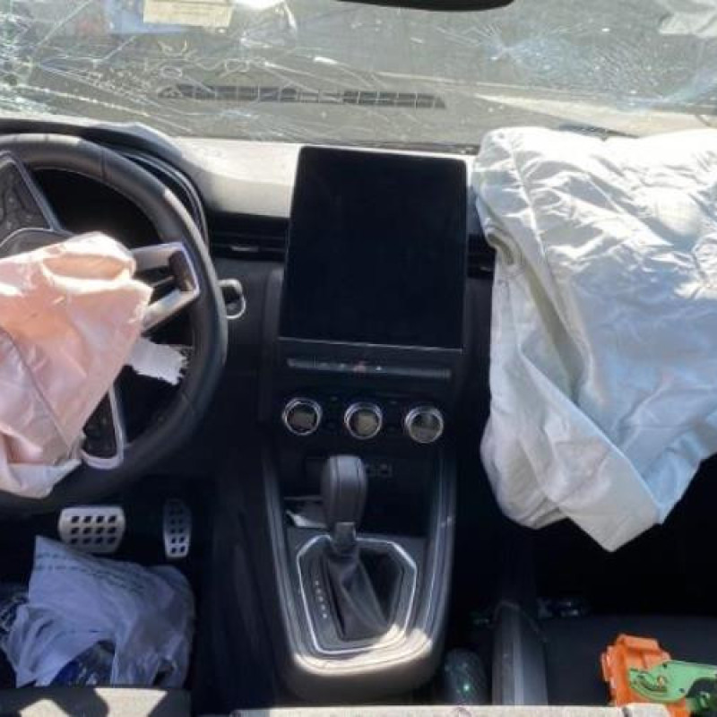 Porte arriere droit RENAULT CLIO 5 Photo n°17