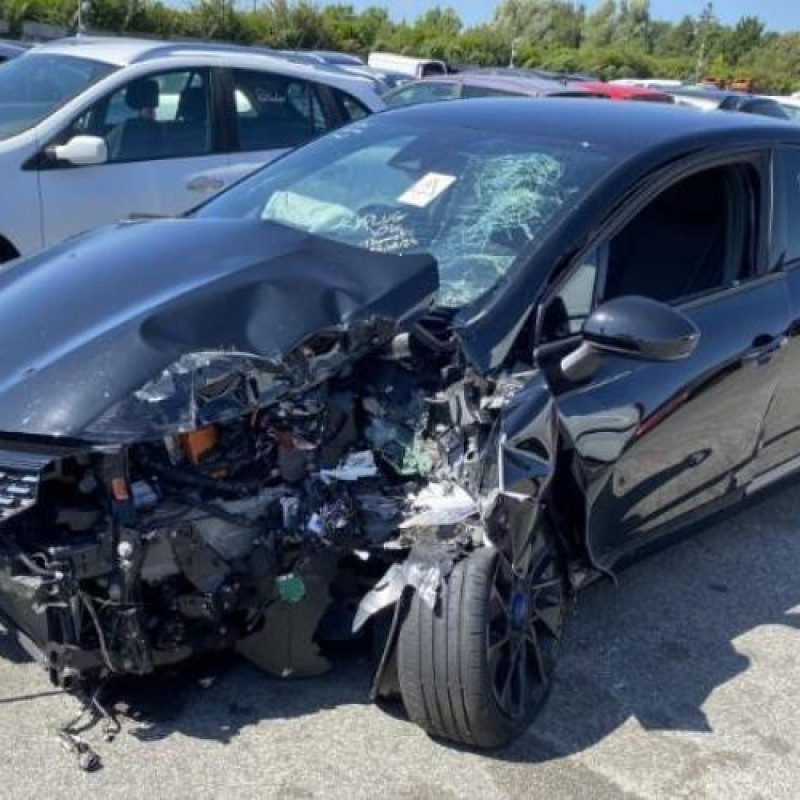 Porte arriere droit RENAULT CLIO 5 Photo n°19