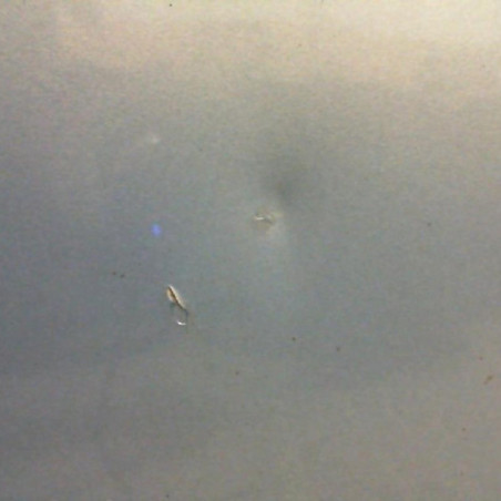 Porte avant gauche RENAULT ESPACE 4