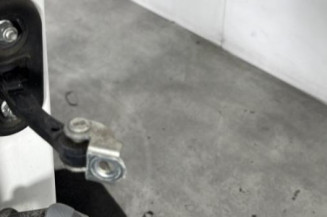 Porte avant droit FIAT QUBO