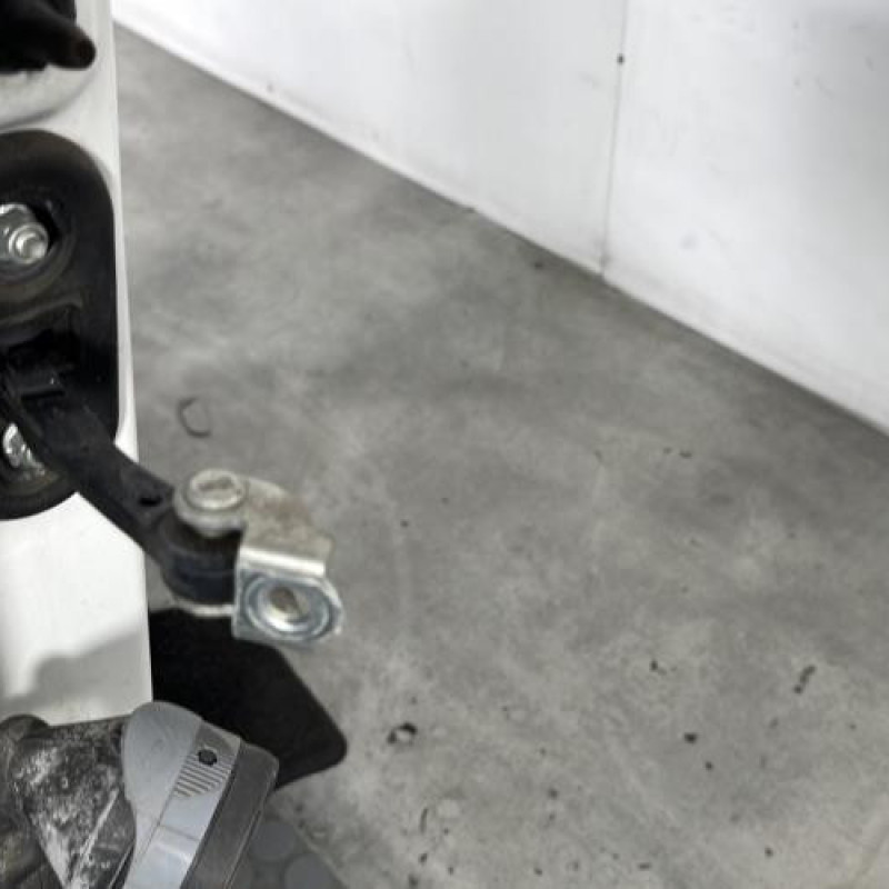 Porte avant droit FIAT QUBO Photo n°5