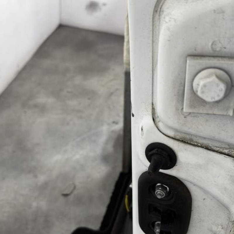 Porte avant gauche FIAT QUBO Photo n°4