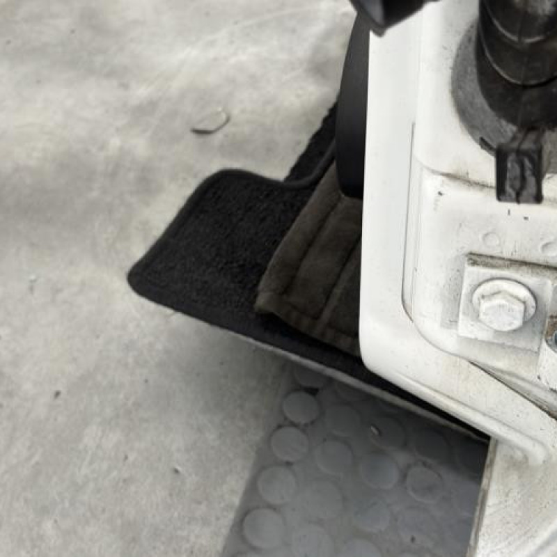Porte avant gauche FIAT QUBO Photo n°6