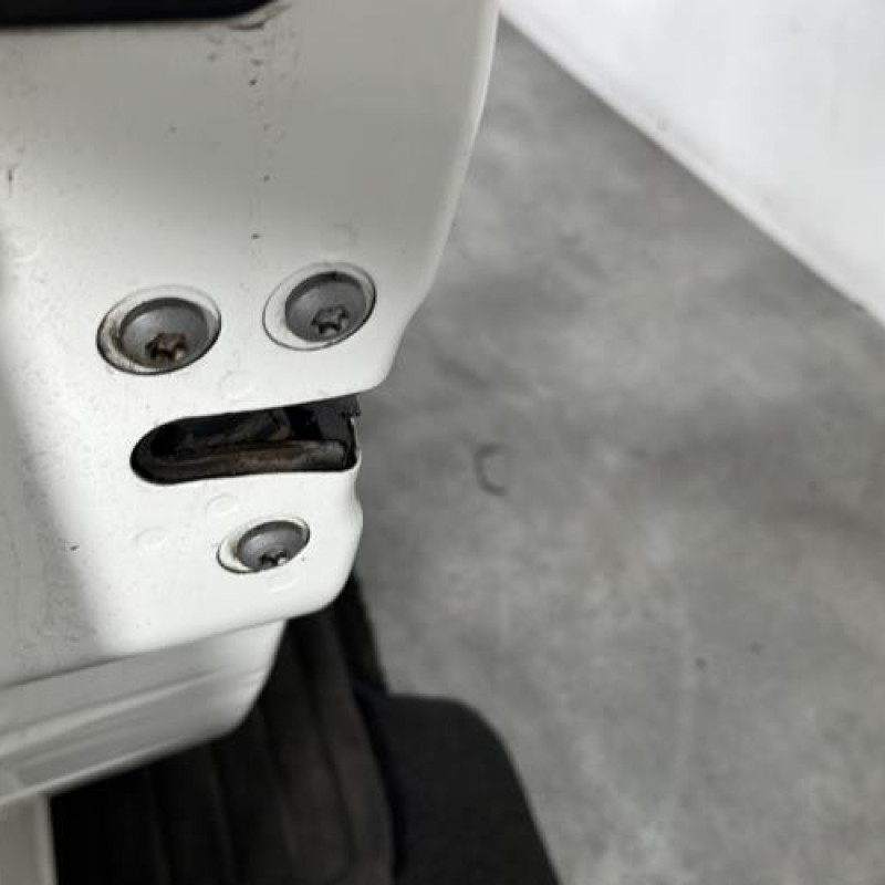 Porte avant gauche FIAT QUBO Photo n°7